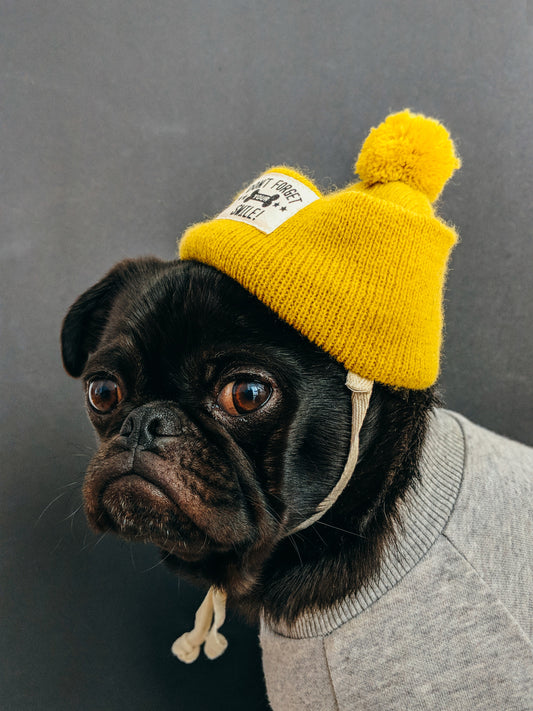 Beanie for Puppy Buddy