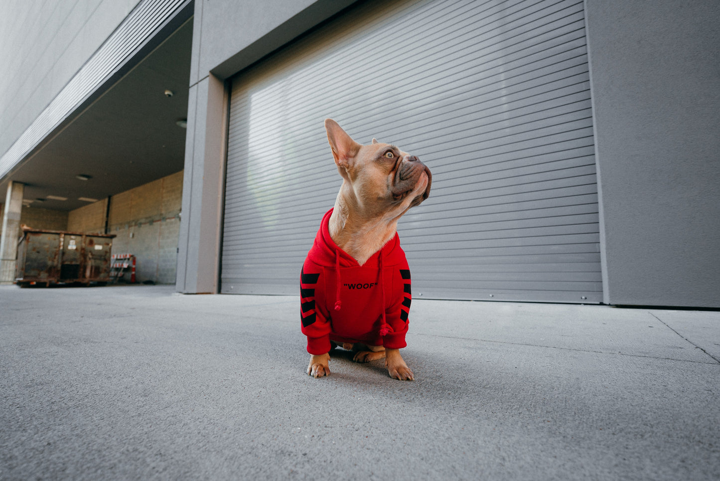 Hoodie for Puppy Buddy